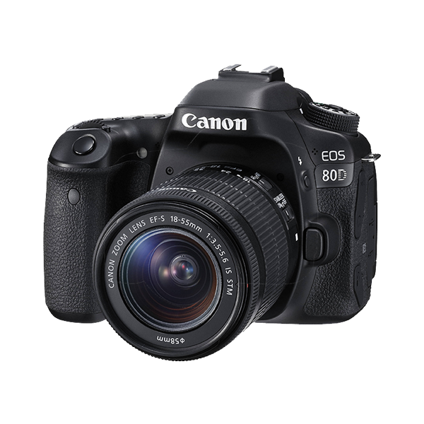 Suspendisse volutpat massa - Image 3